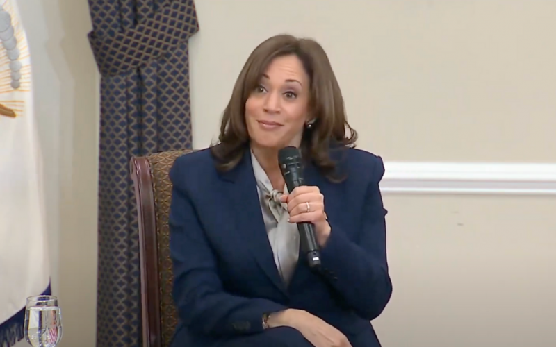 Bizarre Kamala Revelation Surfaces   – EVOL