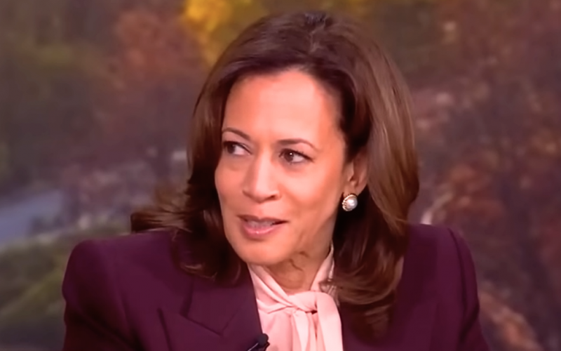 Kamala Reveals ‘Secret’ Strategy to Revitalize the Dem Party   – EVOL