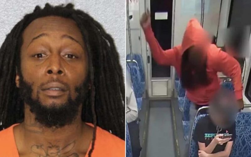 Decarlos Brown Jr. Reveals His Motive for Stabbing Iryna Zarutska   – EVOL